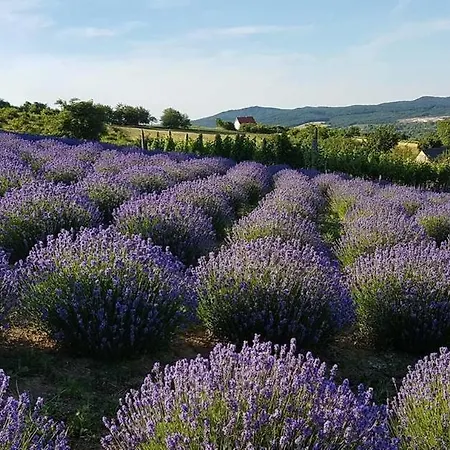 Holiday home Panorama House Tihany