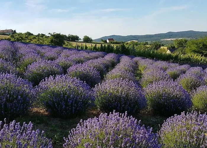Σπίτι διακοπών Panorama House Tihany